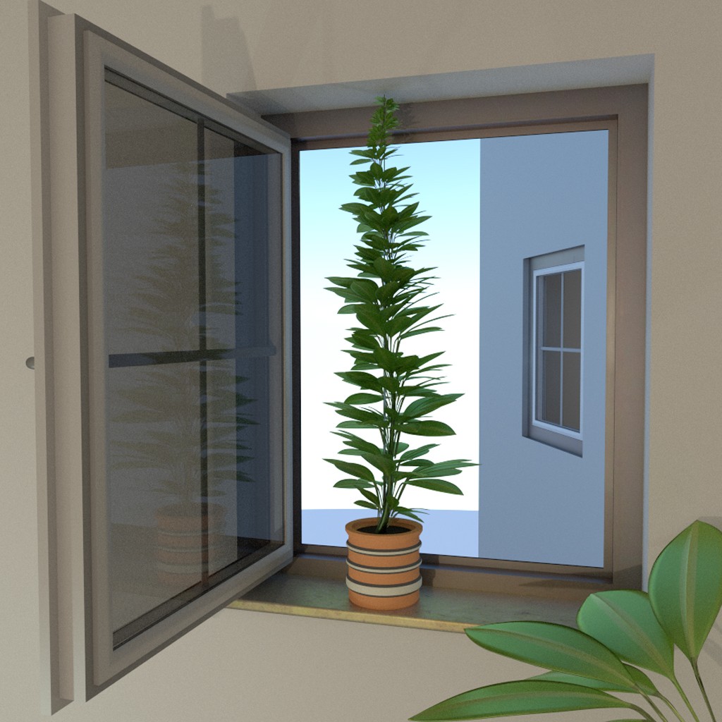Window Plant preview image 1